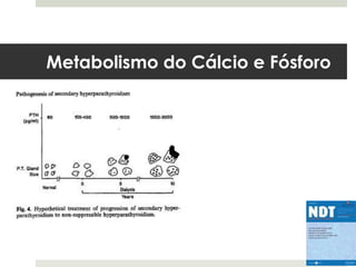 Metabolismo do Cálcio e Fósforo
 
