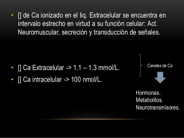 2 minutos guían en pirámide de la dieta mediterránea