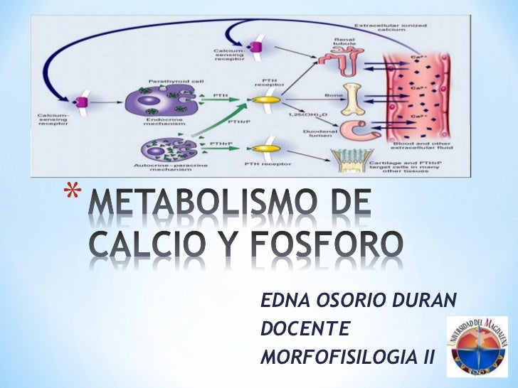 10 cosas sobre Metabolismo y nutricion