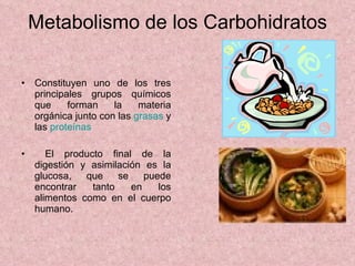 Metabolismo de los Carbohidratos ,[object Object],[object Object]