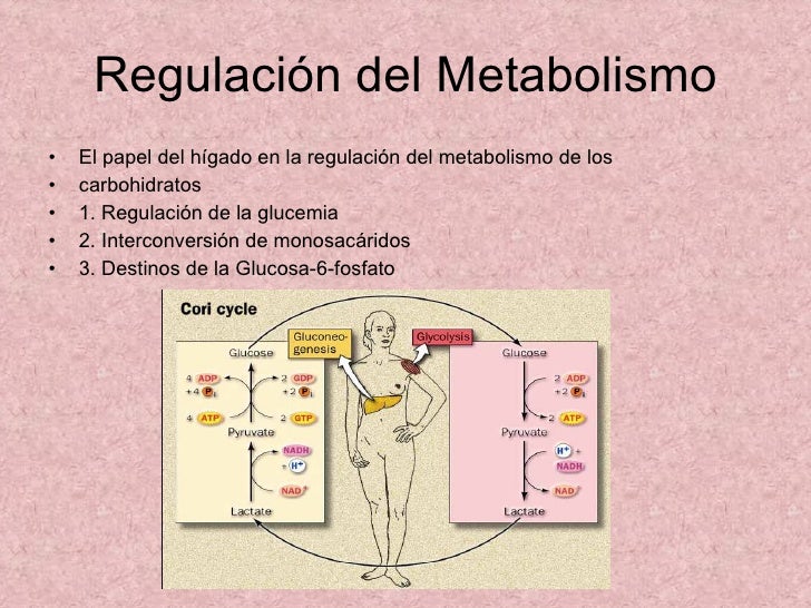 ¿Por dónde empezar con dieta para acelerar el metabolismo y bajar de peso?
