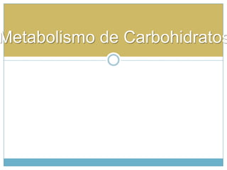 Metabolismo de Carbohidratos
 