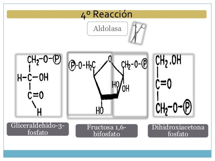 Tu tienes el poder del metabolismo amazon ?
