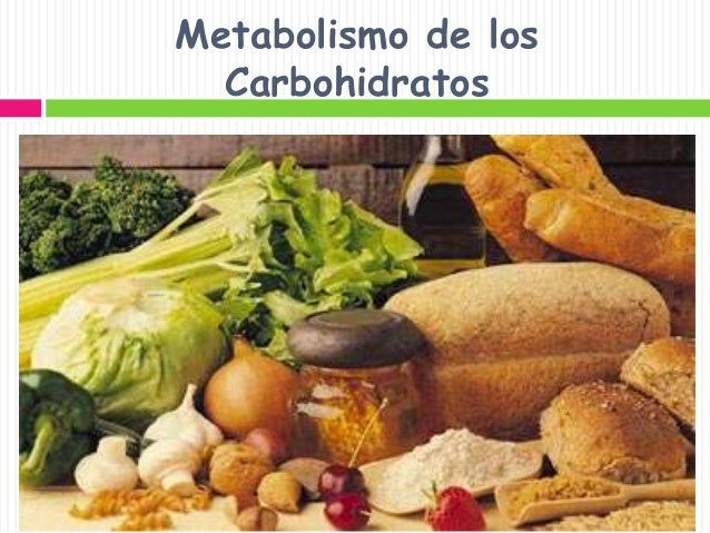 Metabolismo de carbohidratos