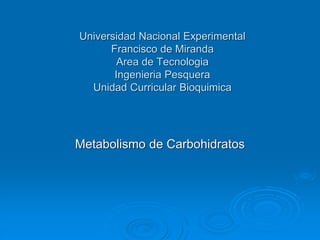 Universidad Nacional Experimental
Francisco de Miranda
Area de Tecnologia
Ingenieria Pesquera
Unidad Curricular Bioquimica
Metabolismo de Carbohidratos
 