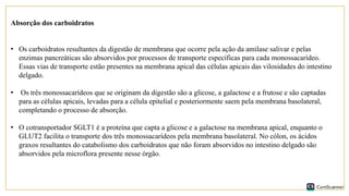 Absorção dos carboidratos
• Os carboidratos resultantes da digestão de membrana que ocorre pela ação da amilase salivar e pelas
enzimas pancreáticas são absorvidos por processos de transporte específicas para cada monossacarídeo.
Essas vias de transporte estão presentes na membrana apical das células apicais das vilosidades do intestino
delgado.
• Os três monossacarídeos que se originam da digestão são a glicose, a galactose e a frutose e são captadas
para as células apicais, levadas para a célula epitelial e posteriormente saem pela membrana basolateral,
completando o processo de absorção.
• O cotransportador SGLT1 é a proteína que capta a glicose e a galactose na membrana apical, enquanto o
GLUT2 facilita o transporte dos três monossacarídeos pela membrana basolateral. No cólon, os ácidos
graxos resultantes do catabolismo dos carboidratos que não foram absorvidos no intestino delgado são
absorvidos pela microflora presente nesse órgão.
 