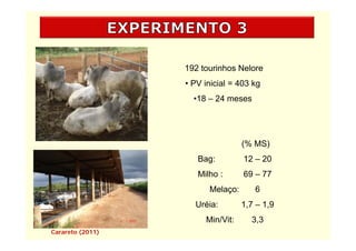 192 tourinhos Nelore
                  • PV inicial = 403 kg
                    •18 – 24 meses
                     18




                                  (% MS)
                     Bag:         12 – 20
                     Milho :      69 – 77
                        Melaço:      6
                    Uréia:        1,7 – 1,9
                       Min/Vit:     3,3
Carareto (2011)
 