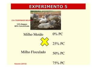216 TOURINHOS NELORE

    12% Bagaço
  88% Concentrado




           Milho Moído     0% PC

                           25% PC

         Milho Floculado   50% PC

  Gouvêa (2012)            75% PC
 