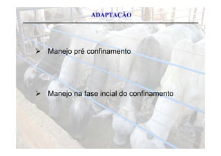ADAPTAÇÃO




 Manejo pré confinamento




 Manejo na fase incial do confinamento
 