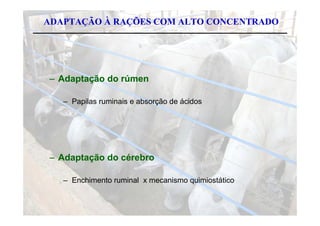 ADAPTAÇÃO À RAÇÕES COM ALTO CONCENTRADO




– Adaptação do rúmen

   – Papilas ruminais e absorção de ácidos




– Adaptação do cérebro

   – Enchimento ruminal x mecanismo quimiostático
 