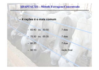 ADAPTAÇÃO – Método Forragem:Concentrado



– 4 rações é o mais comum


     – 60:40 ou 50:50:      7 dias

     – 70:30 ou 65:35:      7 dias

     – 80:20:               7 dias

     – 90:10:
       90 0                 ração final
                             ação a
 