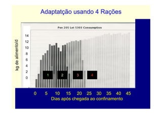 Adaptatção usando 4 Rações


14
12
10
8
6
4
2
           1       2     3     4
0



     0    5     10 15 20 25 30 35 40 45
               Dias após chegada ao confinamento
 