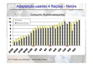 Adaptatção usando 4 Rações - Nelore

                             Consumo (KgMS/cabeça/dia)




SITTA (Dados não publicados) – 144 tourinhos Nelore
 