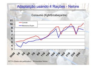 Adaptatção usando 4 Rações - Nelore

                             Consumo (KgMS/cabeça/dia)
  11
                 Controle
  10             Monensina 30 ppm
                              pp
   9
   8
   7
   6
   5
   4
   3
           9

                  9

                        9

                              9

                                     9
                                          /9

                                                 /9

                                                       /9

                                                             /9

                                                                   /9

                                                                         /9

                                                                               /9

                                                                                     /9
      8
          1/

                3/

                      5/

                            7/

                                    9/
   /0




                                         11

                                               13

                                                      15

                                                            17

                                                                  19

                                                                        21

                                                                              23

                                                                                    25
 30




SITTA (Dados não publicados) – 96 tourinhos Nelore
 