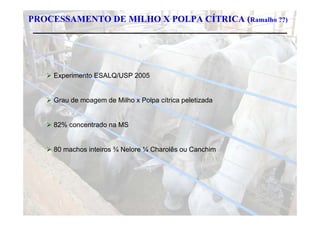 PROCESSAMENTO DE MILHO X POLPA CÍTRICA (Ramalho ??)




    Experimento ESALQ/USP 2005


    Grau de moagem de Milho x Polpa cítrica peletizada


    82% concentrado na MS


    80 machos inteiros ¾ Nelore ¼ Charolês ou Canchim
 