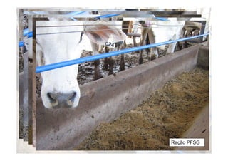 Ração M
Ração MPC
 Ração MFUG
   Ração PFUG
     Ração PFSG
 