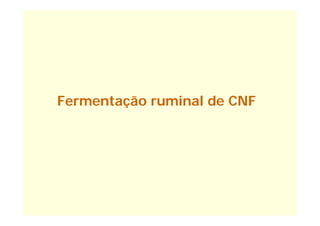 Fermentação ruminal de CNF
 