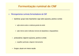 Fermentação ruminal de CNF

•   Microrganismos ruminais fermentadores de CNF

     – bactérias: grupo mais importante e age sobre açúcares, pectina e amido



         • ação externa sobre a molécula grande de amido



         • ação interna sobre moléculas menores de dipeptideos e oligopeptídeos




     – protozoários: digerem açúcares, pectina e amido

         • engolfam partículas e digerem internamente



     – fungos: atuam em menor escala
 