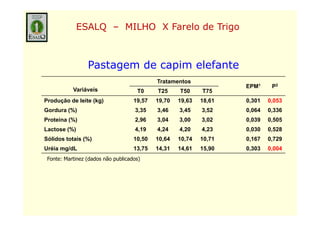 ESALQ – MILHO X Farelo de Trigo



                 Pastagem d capim elefante
                 P t      de   i   l f t
                                            Tratamentos
                                                                    EPM1     P2
           Variáveis                 T0     T25     T50     T75
Produção de leite (kg)              19,57   19,70   19,63   18,61   0,301   0,053
Gordura (%)
        ( )                         3,35
                                     ,      3,46
                                             ,      3,45
                                                     ,      3,52
                                                             ,      0,064
                                                                     ,      0,336
                                                                             ,
Proteína (%)                        2,96    3,04    3,00    3,02    0,039   0,505
Lactose (%)                         4,19    4,24    4,20    4,23    0,030   0,528
Sólidos totais (%)                  10,50
                                    10 50   10,64
                                            10 64   10,74
                                                    10 74   10,71
                                                            10 71   0,167
                                                                    0 167   0,729
                                                                            0 729
Uréia mg/dL                         13,75   14,31   14,61   15,90   0,303   0,004
 Fonte: Martinez (dados não publicados)
 