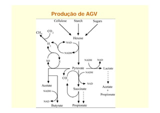 Produção de AGV
 