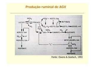 Produção ruminal de AGV




              Fonte: Owens & G t h 1993
              F t O          Goetsch,
 