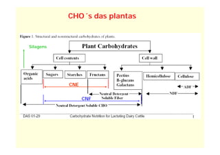 CHO´s das plantas



Silagens




           CNE


                 CNF
 