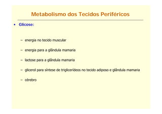 Metabolismo dos Tecidos Periféricos
• Glicose:



   – energia no tecido muscular

   – energia para a glândula mamaria

   – lactose para a glândula mamaria

   – glicerol para síntese de triglicerídeos no tecido adiposo e glândula mamaria

   – cérebro
 