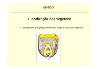 AMIDO



       • localização nos vegetais:

– endosperma dos grãos; tubérculos; raízes e caules dos vegetais
 