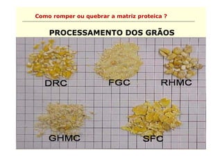 Como romper ou quebrar a matriz proteica ?


    PROCESSAMENTO DOS GRÃOS
 