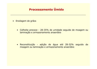 Processamento Úmido


• Ensilagem de grãos



   • Colheita precoce - 28-35% de umidade seguido de moagem ou
     laminação e armazenamento anaeróbio




   • Reconstituição - adição de água até 28-32% seguido de
     moagem ou laminação e armazenamento anaeróbio
 