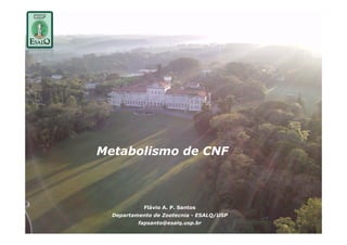 Metabolismo de CNF



            Flávio A. P. S t
            Flá i A P Santos
  Departamento de Zootecnia - ESALQ/USP
          fapsanto@esalq.usp.br
 