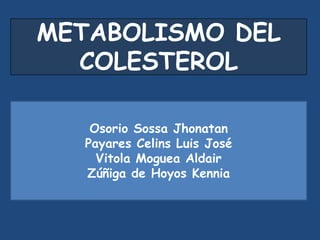 METABOLISMO DEL
  COLESTEROL

   Osorio Sossa Jhonatan
  Payares Celins Luis José
    Vitola Moguea Aldair
  Zúñiga de Hoyos Kennia
 