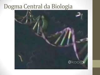 Dogma Central da Biologia
 
