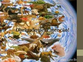 Obrigado pela atenção!
 