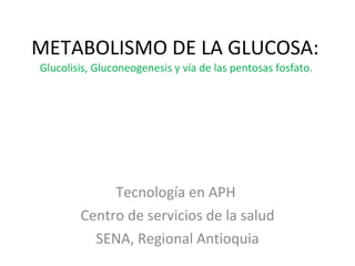 METABOLISMO DE LA GLUCOSA:  Glucolisis, Gluconeogenesis y vía de las pentosas fosfato.  Tecnología en APH  Centro de servicios de la salud SENA, Regional Antioquia 