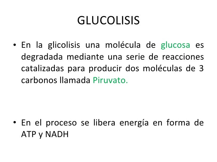 dolor de higado y espalda suplements