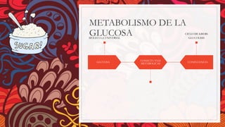 METABOLISMO DE LA
GLUCOSA
GLUCOSA
MOLECULA UNIVERSAL
CONECTA VIAS
METABOLICAS
CONFLUENCIA
CICLO DE KREBS
GLUCOLISIS
 