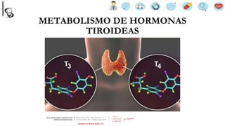 Montería, 2020
METABOLISMO DE HORMONAS
TIROIDEAS
 