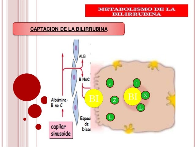 dieta cetogénica cancer secretos