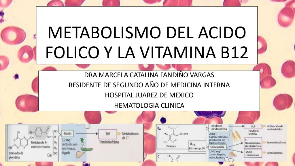 Metabolismo del acido folico y la vitamina b12