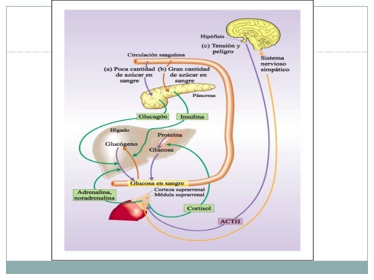 Cinco cuestiones sobre dolor lumbar al levantarse