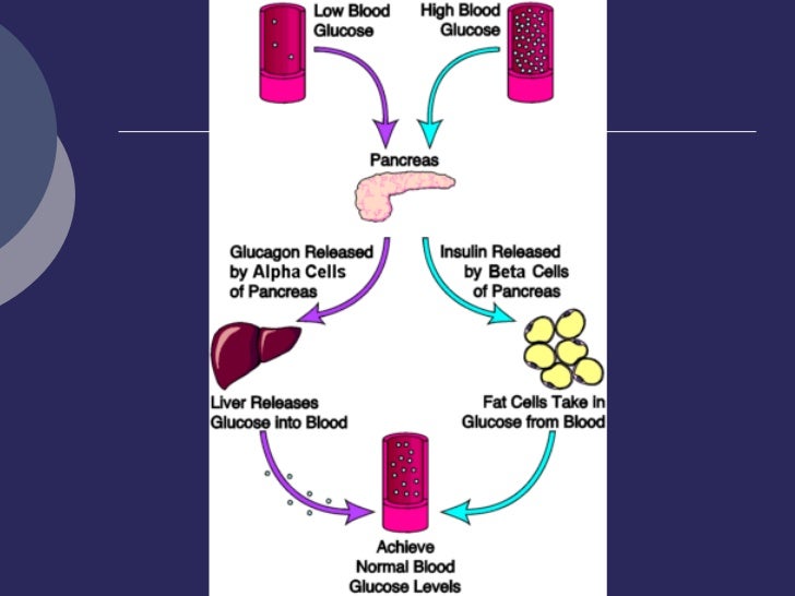 Metabolismo De La Glucosa Diabetes Dieta Sana Metabolismo De La Glucosa Diabetes Dieta Sana