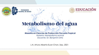 Metabolismo del agua
Maestría en Ciencias de Producción Pecuaria Tropical
Materia: Metabolismo animal
Docente: Dr. Benjamín Ortiz
L.N. Arturo Alberto Euan Chan, Sep. 2021
 