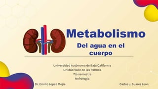 Metabolismo
Del agua en el
cuerpo
Universidad Autónoma de Baja California
Unidad Valle de las Palmas
7to semestre
Nefrologia
Carlos J. Suarez Leon
Dr. Emilio Lopez Mejia
 