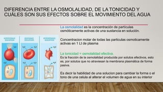 Metabolismo del Agua y Requerimientos Hidroelectroliticos Dr. Bosch R1