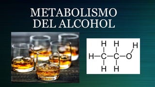 METABOLISMO
DEL ALCOHOL
 