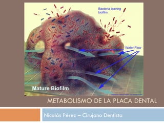 METABOLISMO DE LA PLACA DENTAL
Nicolás Pérez – Cirujano Dentista
 