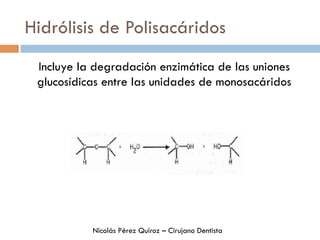 Hidrólisis de Polisacáridos
Incluye la degradación enzimática de las uniones
glucosídicas entre las unidades de monosacáridos
Nicolás Pérez Quiroz – Cirujano Dentista
 