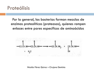 Proteólisis
Por lo general, las bacterias forman mezclas de
enzimas proteolíticas (proteasas), quienes rompen
enlaces entre pares específicos de aminoácidos
Nicolás Pérez Quiroz – Cirujano Dentista
 