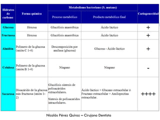 Nicolás Pérez Quiroz – Cirujano Dentista
 